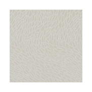 Clarke & Clarke Corallino Champagne Fabric