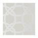 Clarke & Clarke Fascino Champagne Fabric