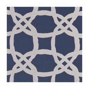Clarke & Clarke Fascino Midnight Fabric