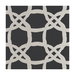 Clarke & Clarke Fascino Nero Fabric