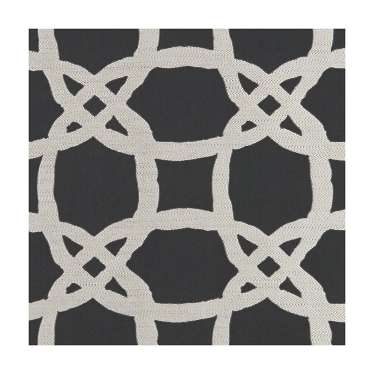 Clarke &amp; Clarke Fascino Nero Fabric