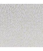 Clarke & Clarke Corallino Sheer Champagne/Gold