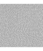 Clarke & Clarke Corallino Sheer Charcoal