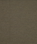 Clarke & Clarke Matteo Ebony/Gold