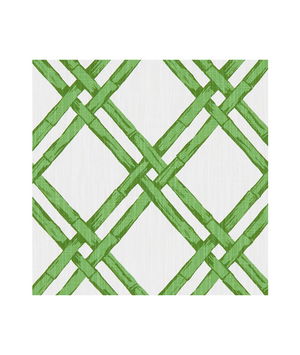 Clarke & Clarke Bhutan Emerald Fabric