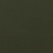Clarke & Clarke Lucca Chive Fabric