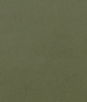 Clarke & Clarke Lucca Herb Fabric