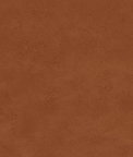 Clarke & Clarke Nola Spice Fabric