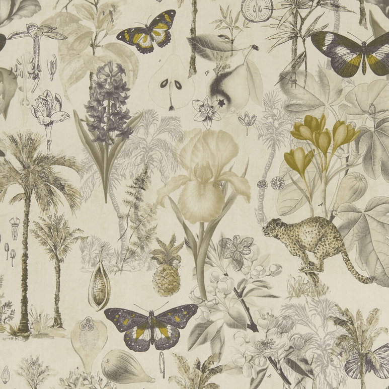 Clarke &amp; Clarke Botany Charcoal/Chartreuse Fabric