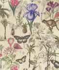 Clarke & Clarke Botany Summer Fabric