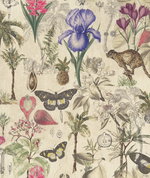 Clarke & Clarke Botany Summer