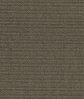 Clarke & Clarke Kauai Charcoal Fabric