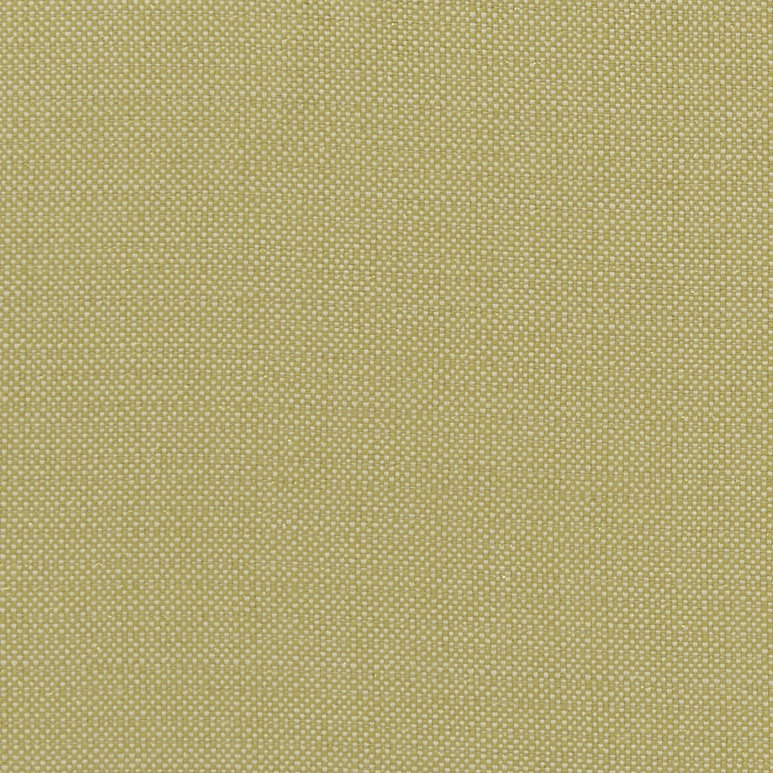 Clarke &amp; Clarke Kauai Citron Fabric