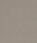 Clarke & Clarke Kauai Mocha Fabric