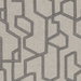 Clarke & Clarke Labyrinth Charcoal Fabric