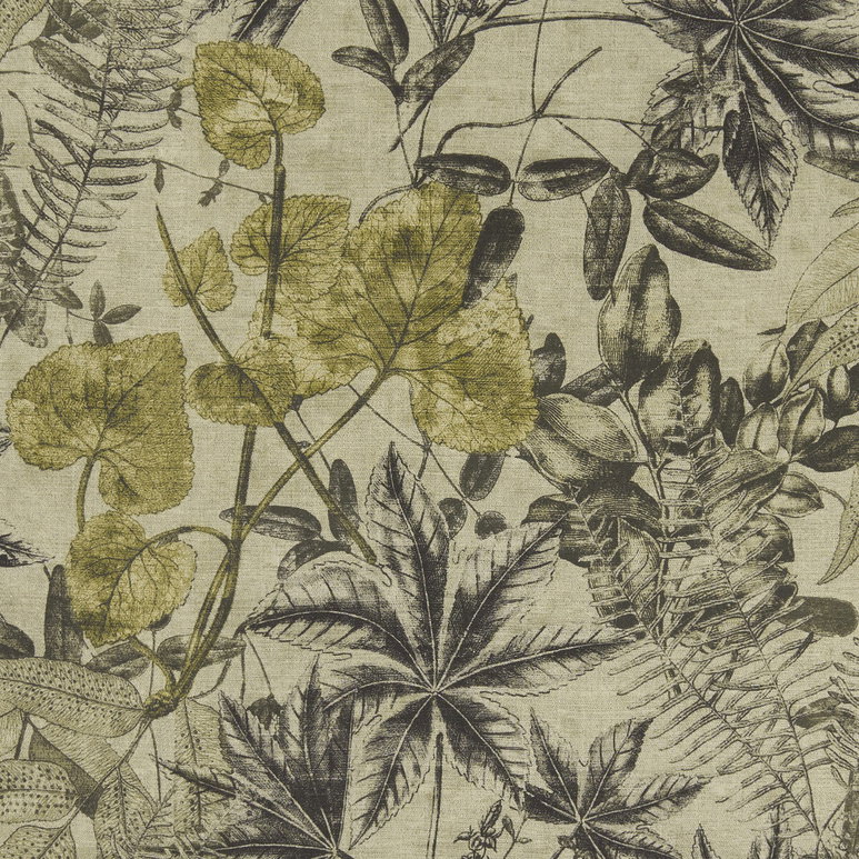 Clarke &amp; Clarke Madagascar Charcoal/Charteuse Fabric