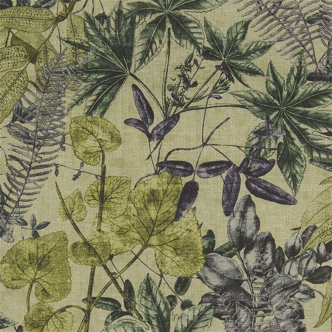 Clarke &amp; Clarke Madagascar Forest Fabric