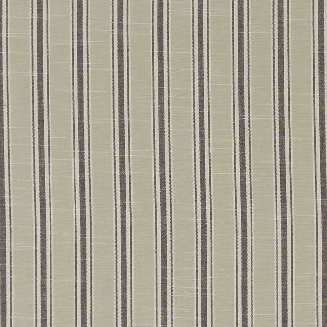 Clarke &amp; Clarke Thornwick Charcoal Fabric