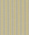 Clarke & Clarke Thornwick Citrus Fabric