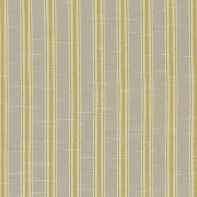 Clarke &amp; Clarke Thornwick Citrus Fabric