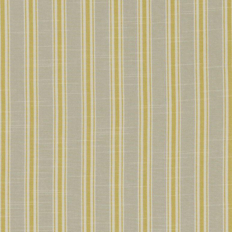 Clarke &amp; Clarke Thornwick Citrus Fabric
