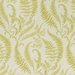 Clarke & Clarke Folium Chartreuse Fabric