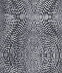 Clarke & Clarke Luster Charcoal Fabric