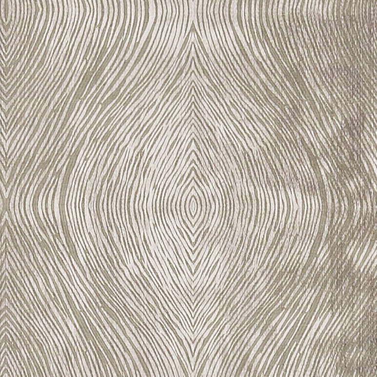 Clarke &amp; Clarke Luster Mocha Fabric
