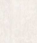 Clarke & Clarke Mystic Ivory Fabric