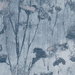 Clarke & Clarke Silhouette Denim Fabric