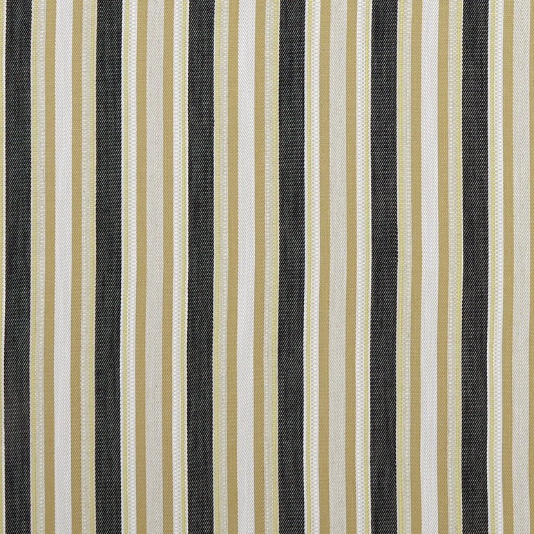 Clarke &amp; Clarke Ziba Charcoal/Ochre Fabric
