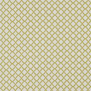 Clarke & Clarke Ariyana Chartreuse Fabric