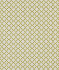 Clarke & Clarke Ariyana Chartreuse Fabric