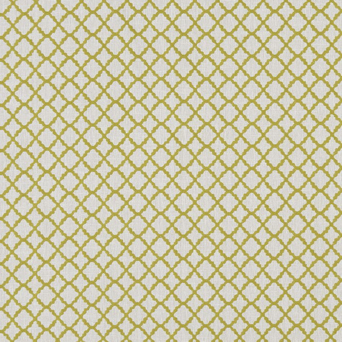 Clarke &amp; Clarke Ariyana Chartreuse Fabric