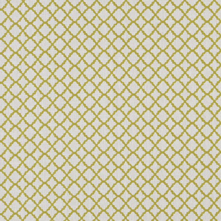 Clarke &amp; Clarke Ariyana Chartreuse Fabric