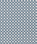 Clarke & Clarke Ariyana Denim Fabric
