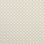 Clarke & Clarke Ariyana Natural Fabric