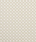 Clarke & Clarke Ariyana Natural Fabric