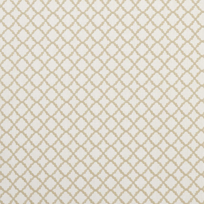 Clarke &amp; Clarke Ariyana Natural Fabric