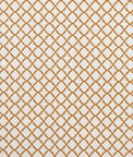 Clarke & Clarke Ariyana Spice Fabric