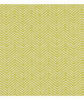Clarke & Clarke Pica Citrus Fabric