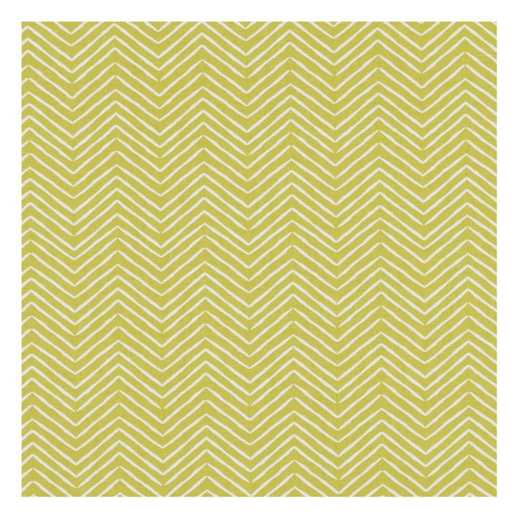 Clarke &amp; Clarke Pica Citrus Fabric