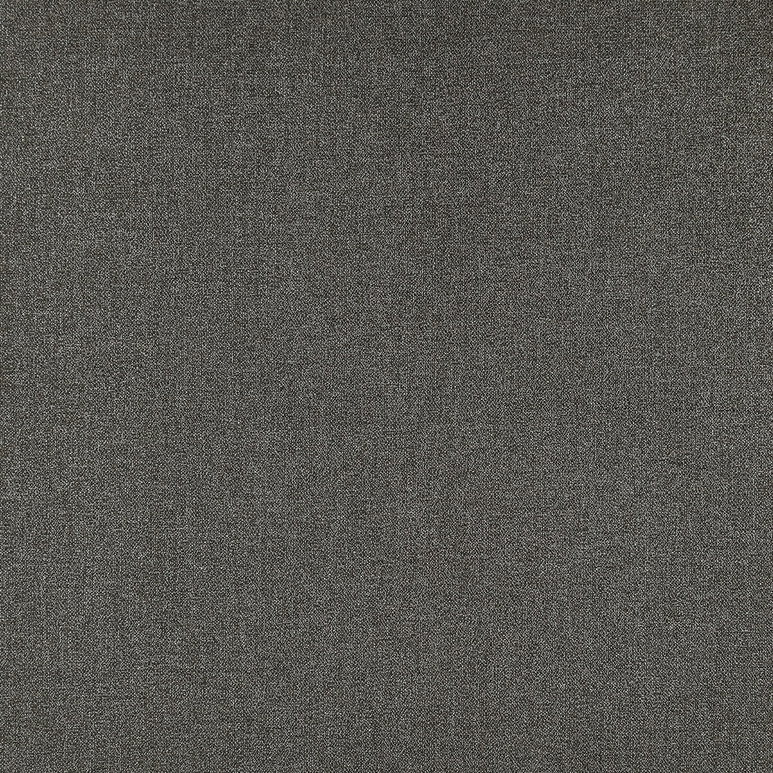 Clarke &amp; Clarke Acies Charcoal Fabric