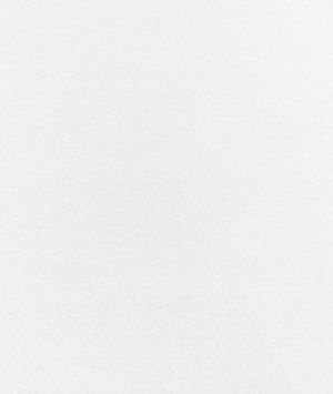 Clarke & Clarke Felpa Polar Fabric
