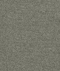 Clarke & Clarke Filum Earth Fabric