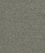 Clarke & Clarke Filum Earth