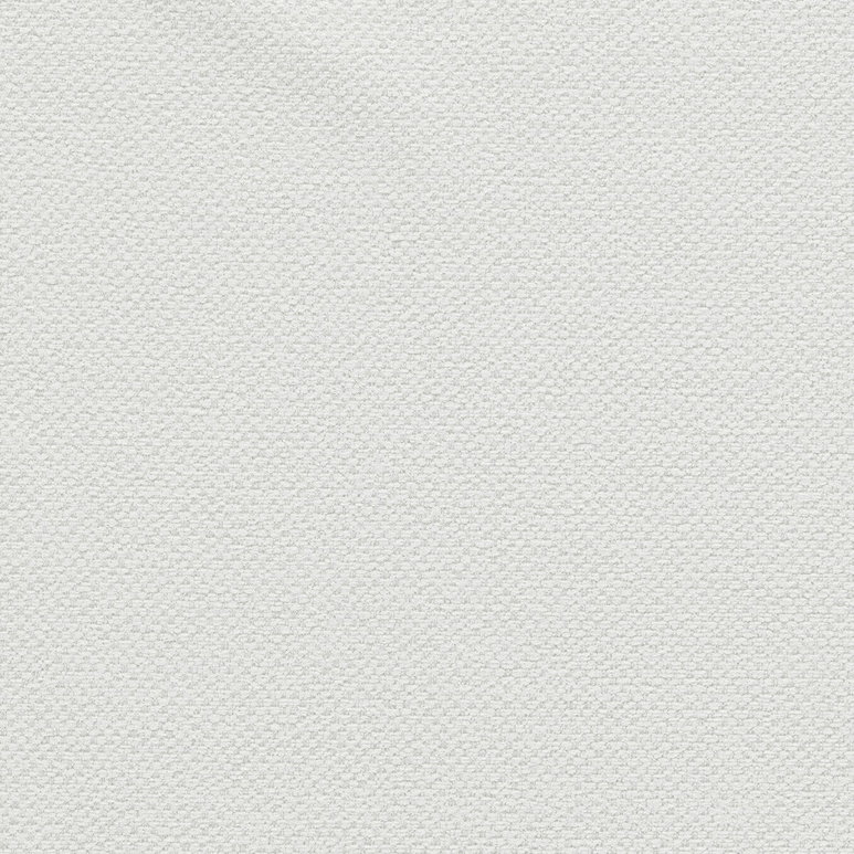 Clarke &amp; Clarke Filum Polar Fabric