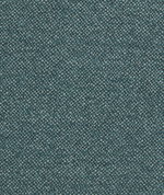 Clarke & Clarke Filum Teal
