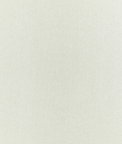 Clarke & Clarke Pianura Ivory Fabric