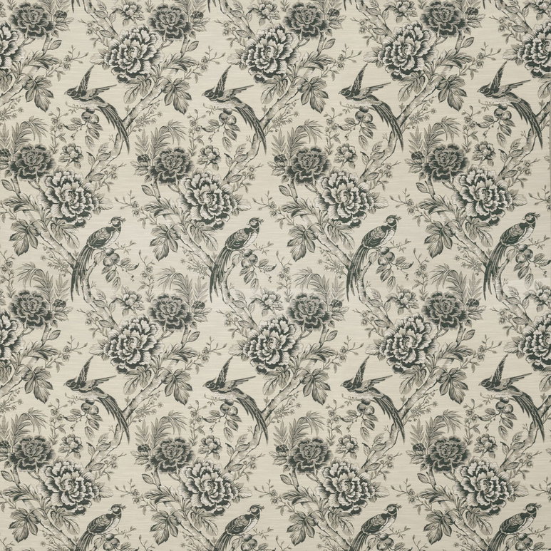 Clarke &amp; Clarke Avium Charcoal Fabric